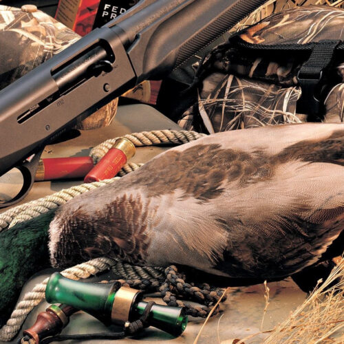 HUNT