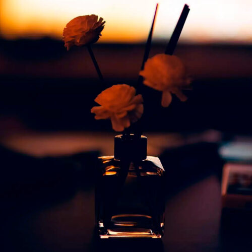 aromachology.ru