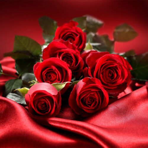 arose.ru